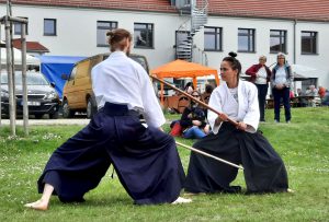 Dachoyama Aikido Ishlar Smolny