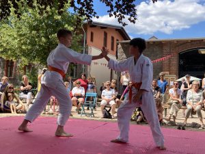 Dachoyama Aikido Ishlar Smolny